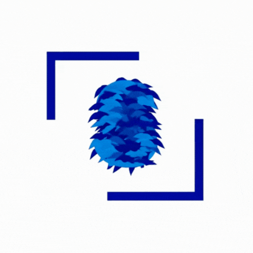 4PT NIGHTHAWK WIFI 7 BE3600 ROUTER